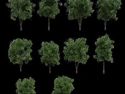 Blender 3 Massive Realistic Animated Tree Pack 3D model