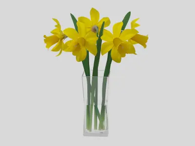 Yellow daffodils in a glass vase 3D model