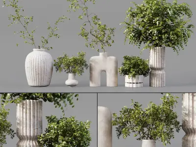 Collection Indoor Plant 01