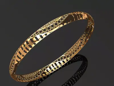 1173 Perfora Halo Bangle 5gm 3D print model