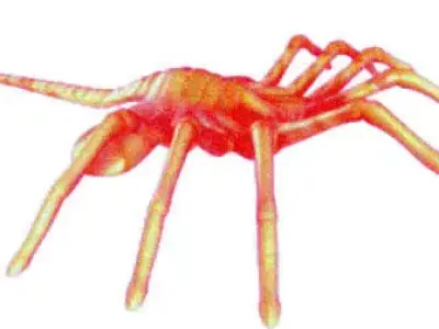 Face hugger Free 3D model