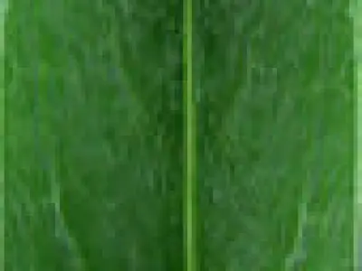 table dining and chairs 3D model