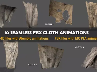 Seamless FBX Torn Cloth Animations 3D model