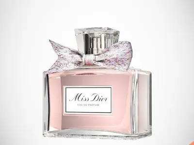 DIOR MISS DIOR 3D model