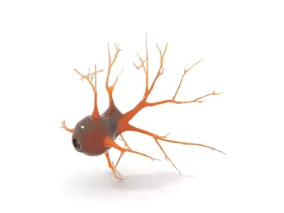 Intricate Neuron Cell model pack Low-poly 3D model