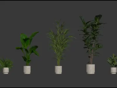 20 Photorealistic Flowers for Interiors - set 202 204 216 219 3D Model Collection