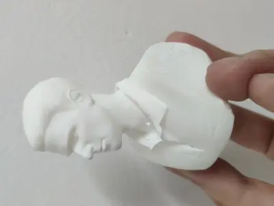 Novak Djokovic 3D Printable 3D print model