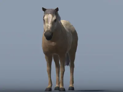 Lowpoly Brown Horse  Animated for VR AR Games  Low-poly 3D model