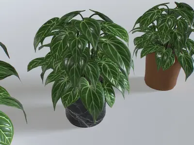 Pot Tropical Plant 3 Low-poly 3D model