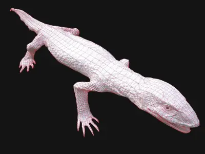 Varan Lizard Reptile Monster Low-poly 3D model