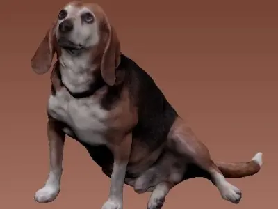 Beagle-3 dog sitting - model 1 Low-poly 3d scan animal 3D model