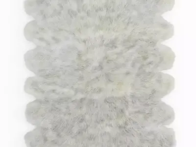 Shaggy Sheepskin Rug Ivory Color 3D model