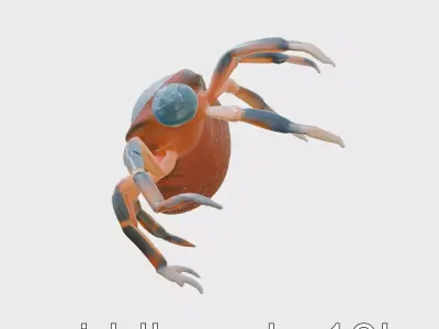 Detailed Parasite Tick Educational Model Low-poly 3D model
