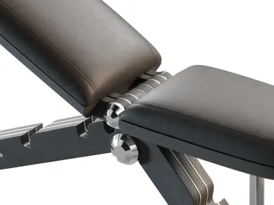 BANKA  Advance Gym Weight Bench 3D model