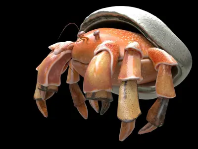 Hrrmit crab 3D Model 3D model
