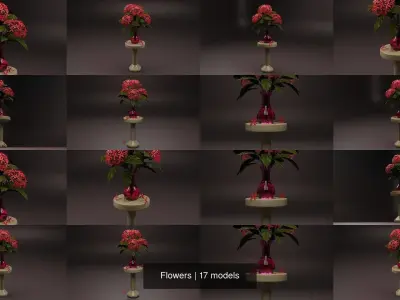 Flowers 3D Model Collection