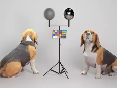 Beagle dog 18 Low-poly 3D model