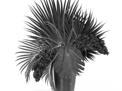 Plants collection 368 3D model