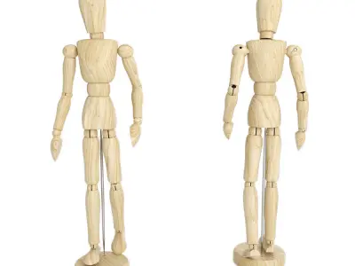 Human Mannequin 3D model