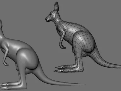 Kangaroo Female BaseMesh Low-poly 3D model