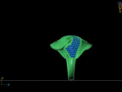 Women Ring 3D print model 15
