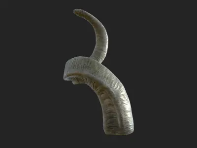 Horns of a screw-horned goat Low-poly 3D model