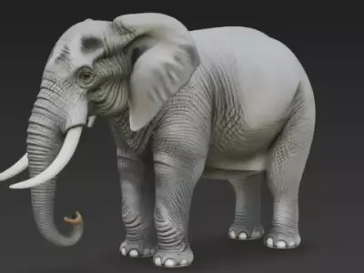 Realistic African Elephant 3D Model High Detail Wildlife  Low-poly 3D model