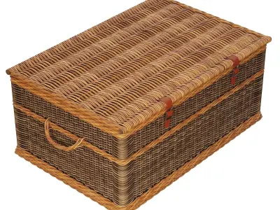Handemade Basket 3D model