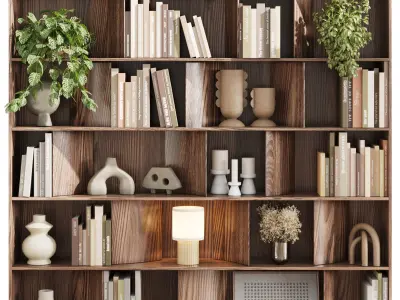 wooden Shelves Decorative With Plants and Book  Low-poly 3D model