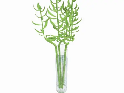 Bamboo in water 3d model Low-poly 3D model