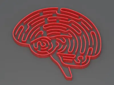 Red brain maze 3D model
