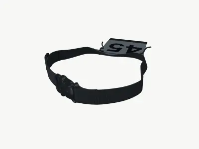 Race Number Belt Low-poly 3D model