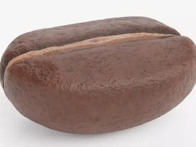 -Coffee Bean- 3D model