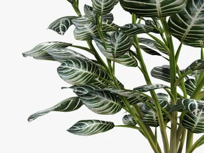 Realistic Plant Garden 3D model