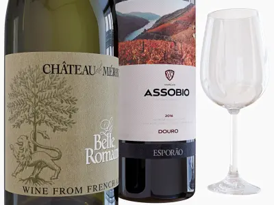 Wine bottle set 11 3D model