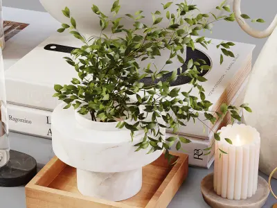 Decorative Set 234 Low-poly 3D model