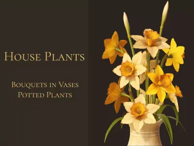 House Plants Pack - Bouquets and Potted Plants Low-poly 3D model