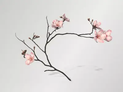 Sakura Branch Low-poly 3D model