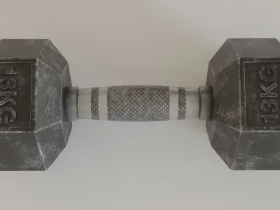 Hex Dumbbell 13 kg 3D model