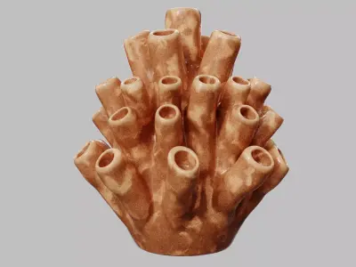 Shagun Deco 3D model