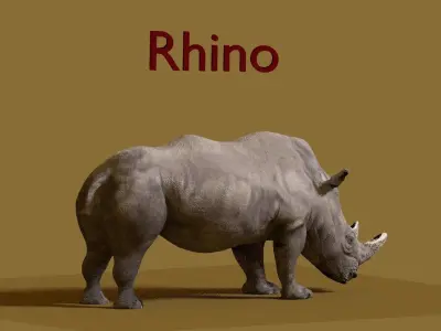 rhino 3D model 4