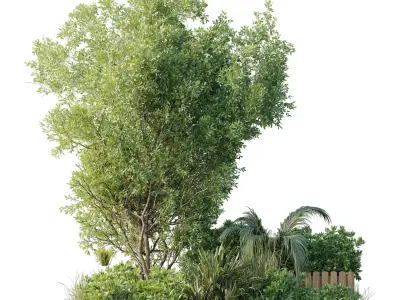 Garden plants box - Outdoor plants set 183 Low-poly 3D model