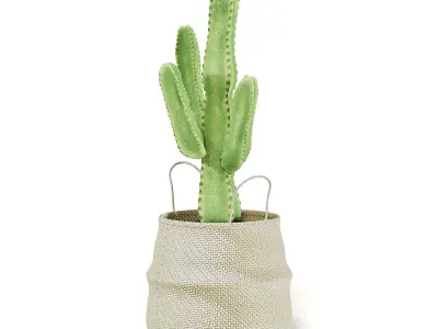 Cactus in Wicker Basket 3D Model 3D model