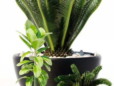 plants set 151 3D model