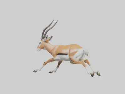 Springbok running model 3D model