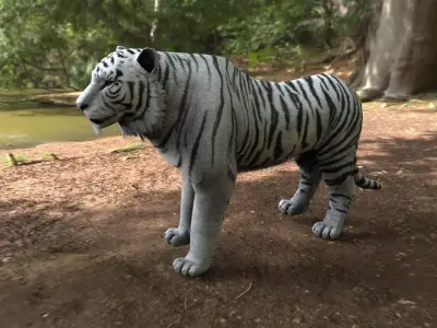 white tiger  Low-poly 3D model