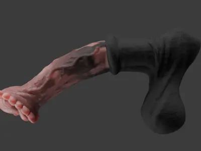 Anatomy Horse Rigged Penis Highpoly and Lowpoly Low-poly 3D model