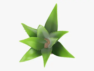 Cactus composition artificial 01 3D model