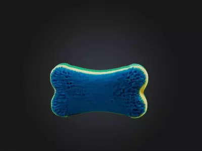 Car wash sponge Low-poly 3D model