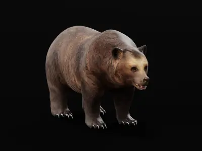 Grizzly Brown Bear 3D model